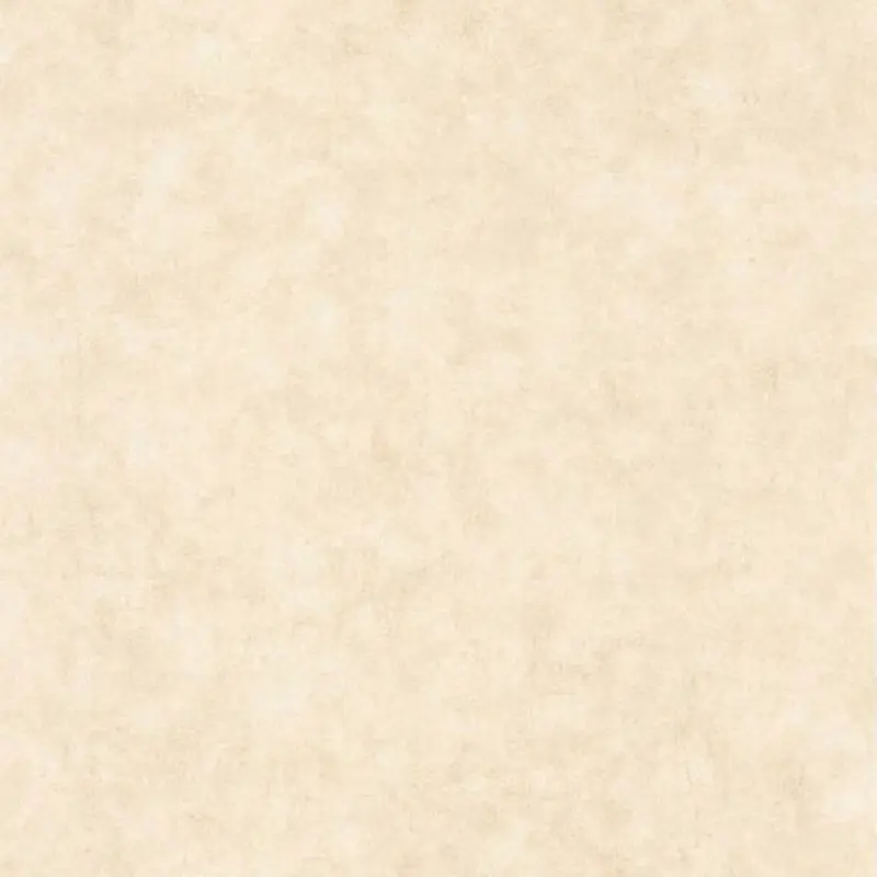 Обои 101481123 Caselio Beton 2