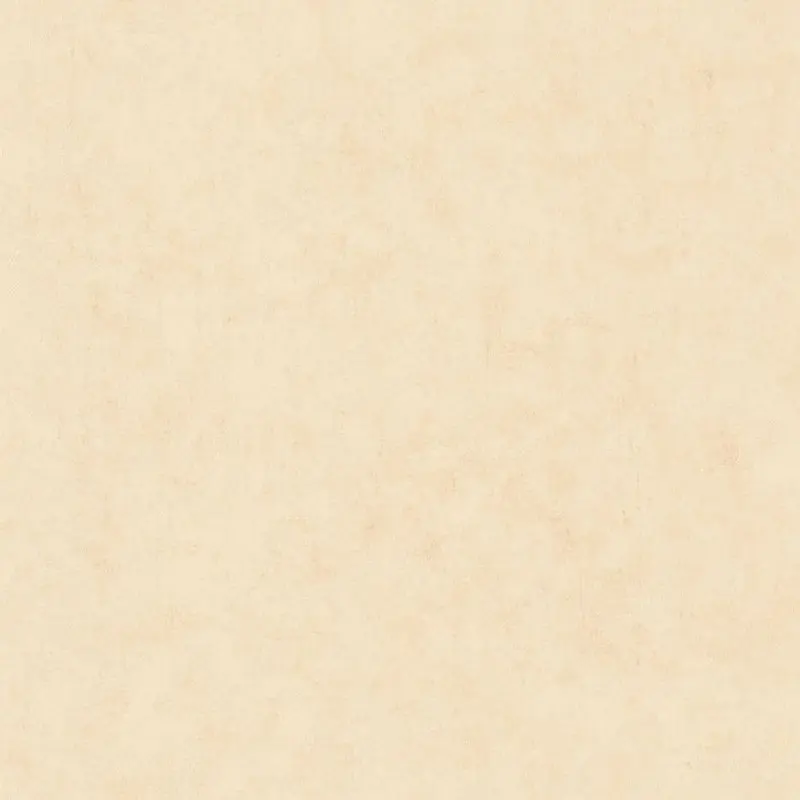 Обои 101481247 Caselio Beton 2