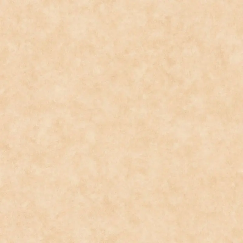 Обои 101481674 Caselio Beton 2
