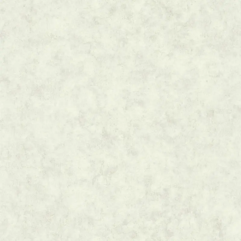 Обои 101487140 Caselio Beton 2