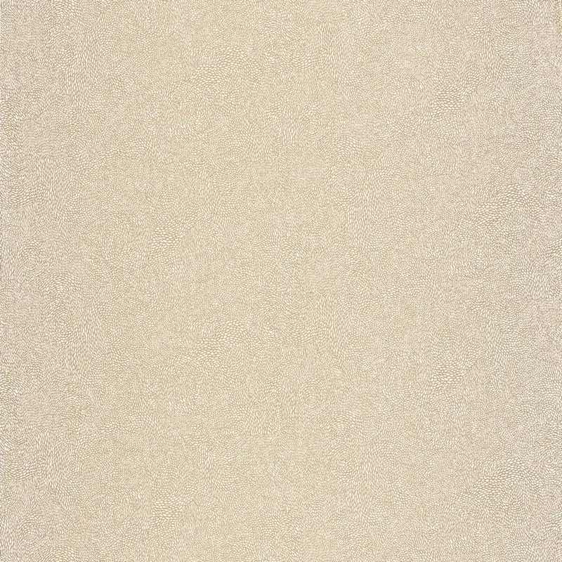 Обои 101842000 Caselio Flower Power