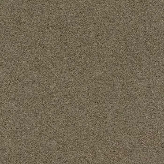 Обои 422078 Rasch Miracle