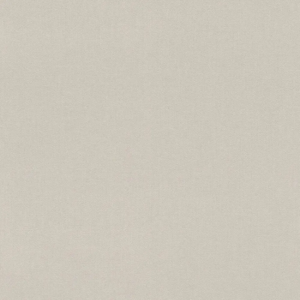 Обои 542479 Rasch Allegretto
