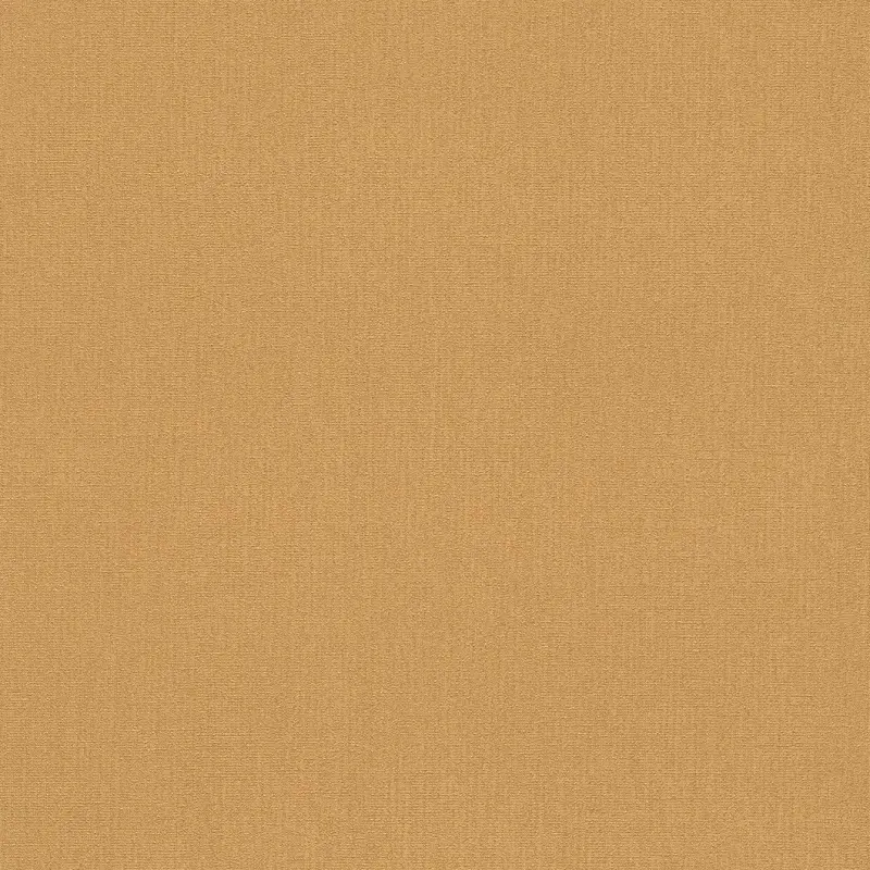 Обои 545807 Rasch En Suite