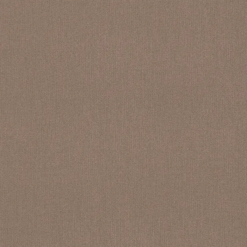 Обои 545913 Rasch En Suite