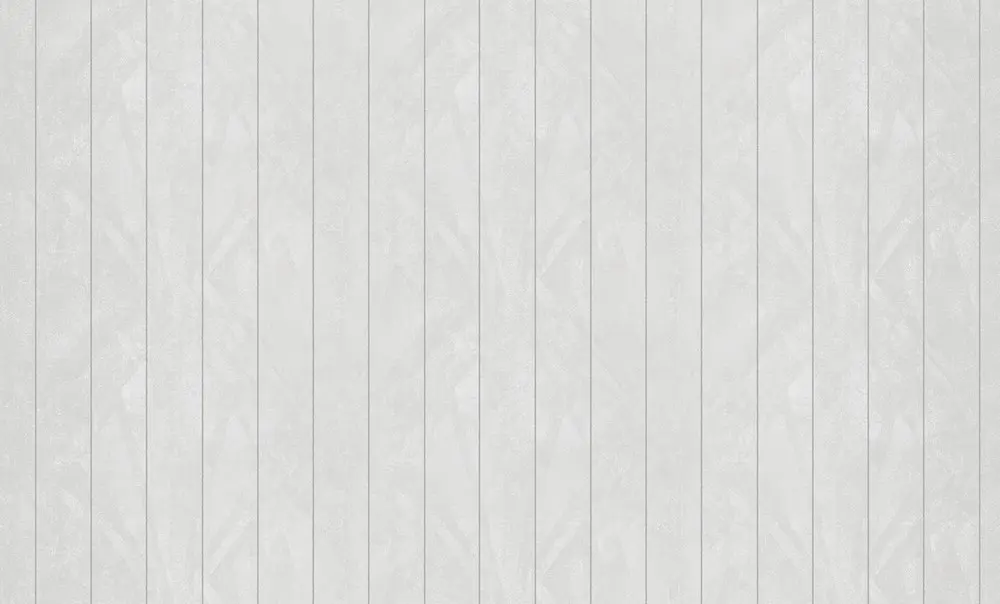 Обои 60113-4 Bruno Zoff Silver