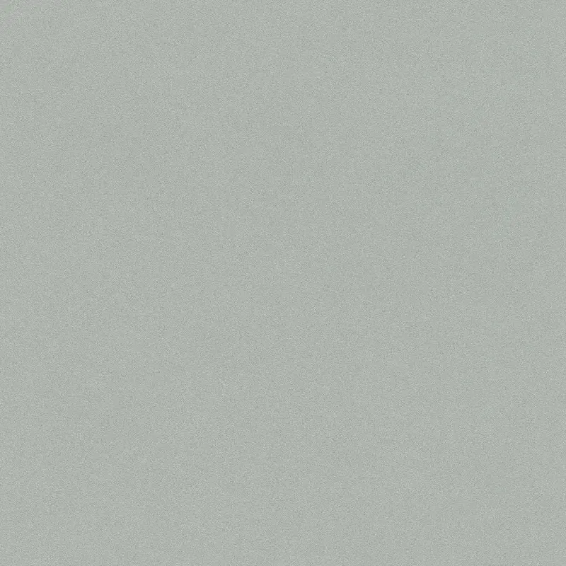 Обои 607260 Rasch Passepartout