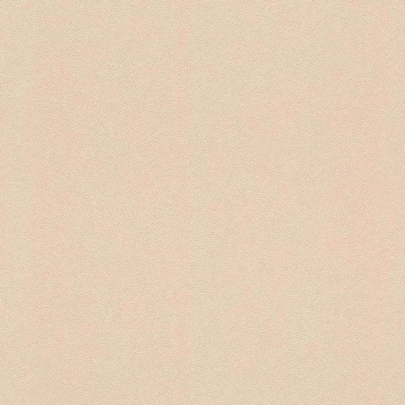 Обои 607772 Rasch Gypso