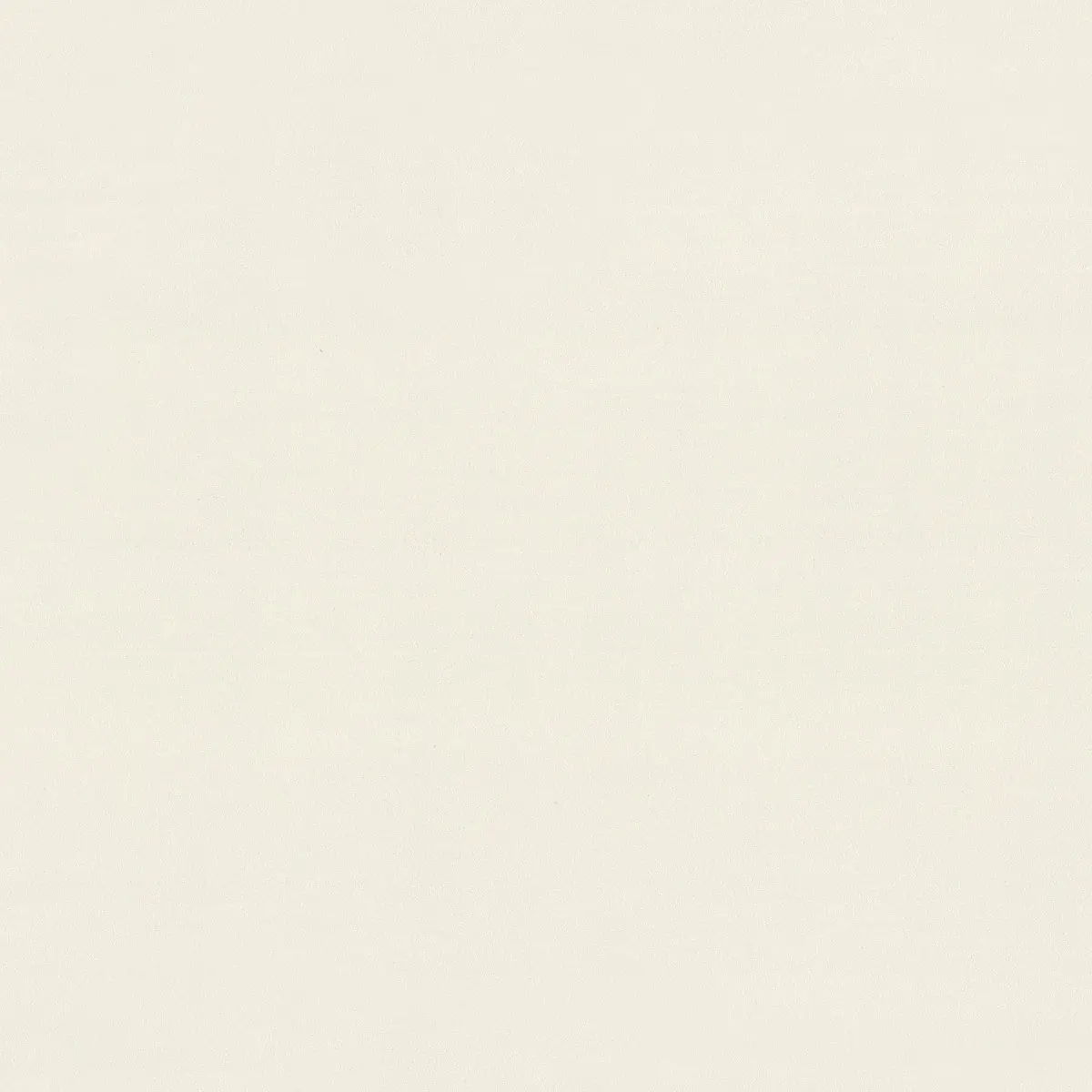 Обои 7312-01 Euro Decor Yang
