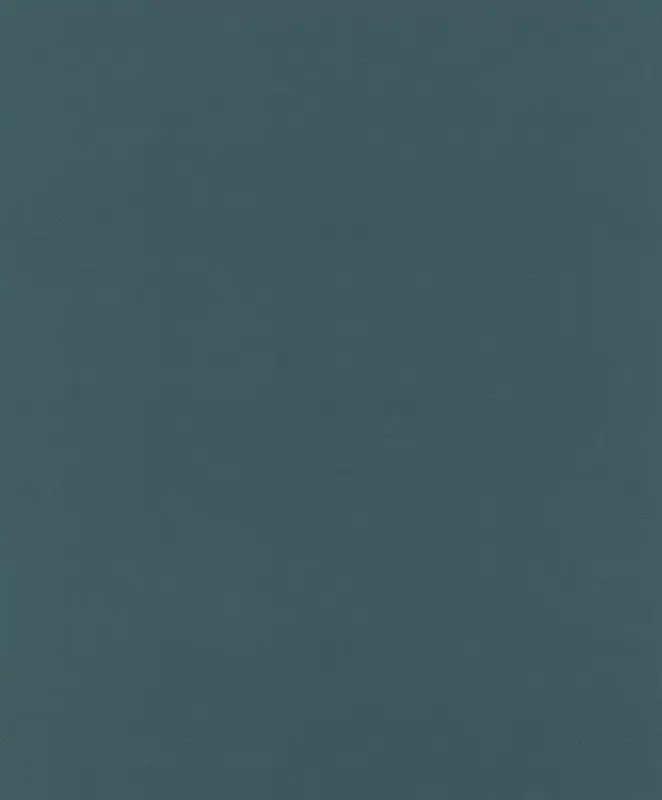 Обои 806809 Rasch Denzo 2