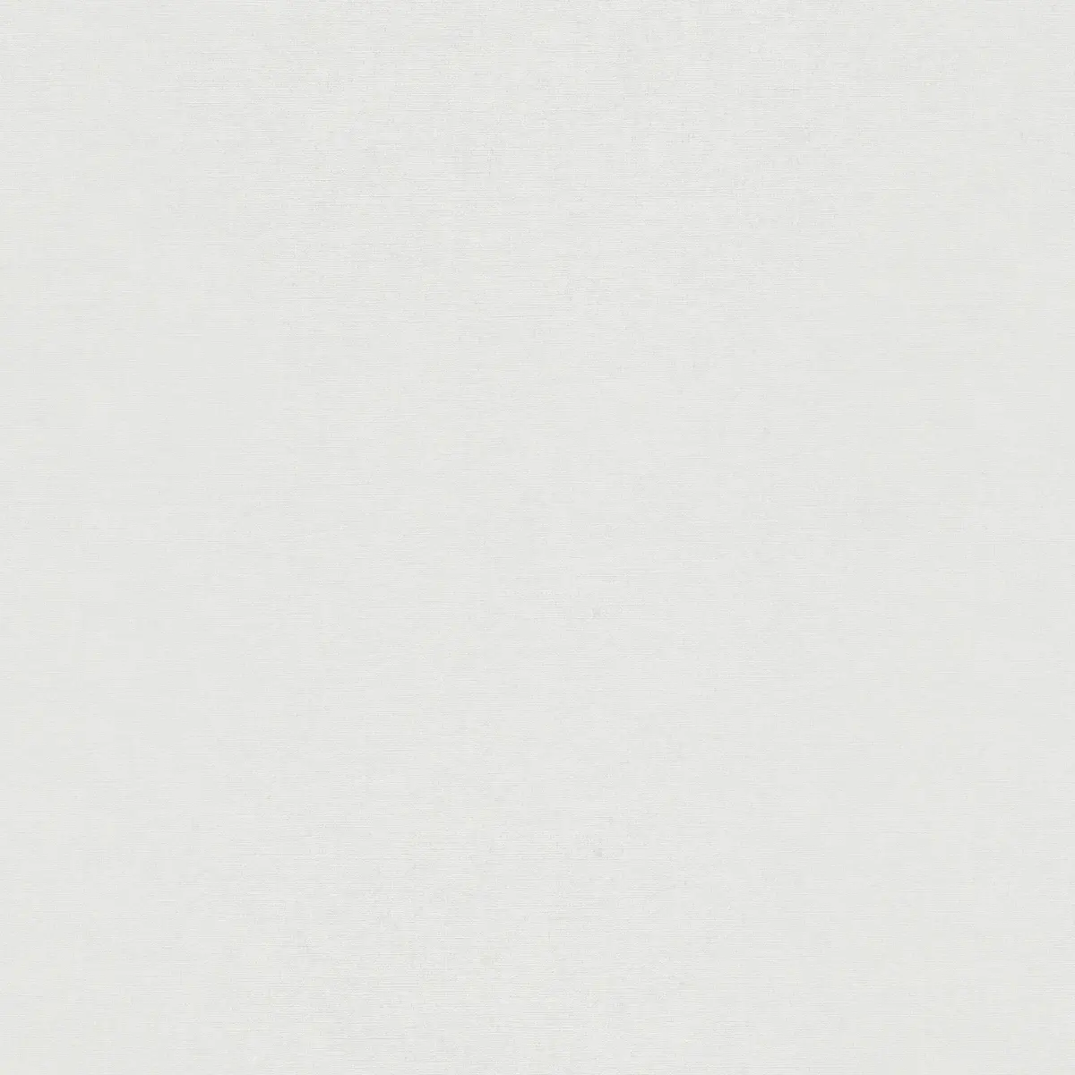 Обои ER12207-01 Erismann Gentle