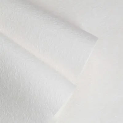 Обои HC40408-01a Palitra Home Color Нано — фото 3