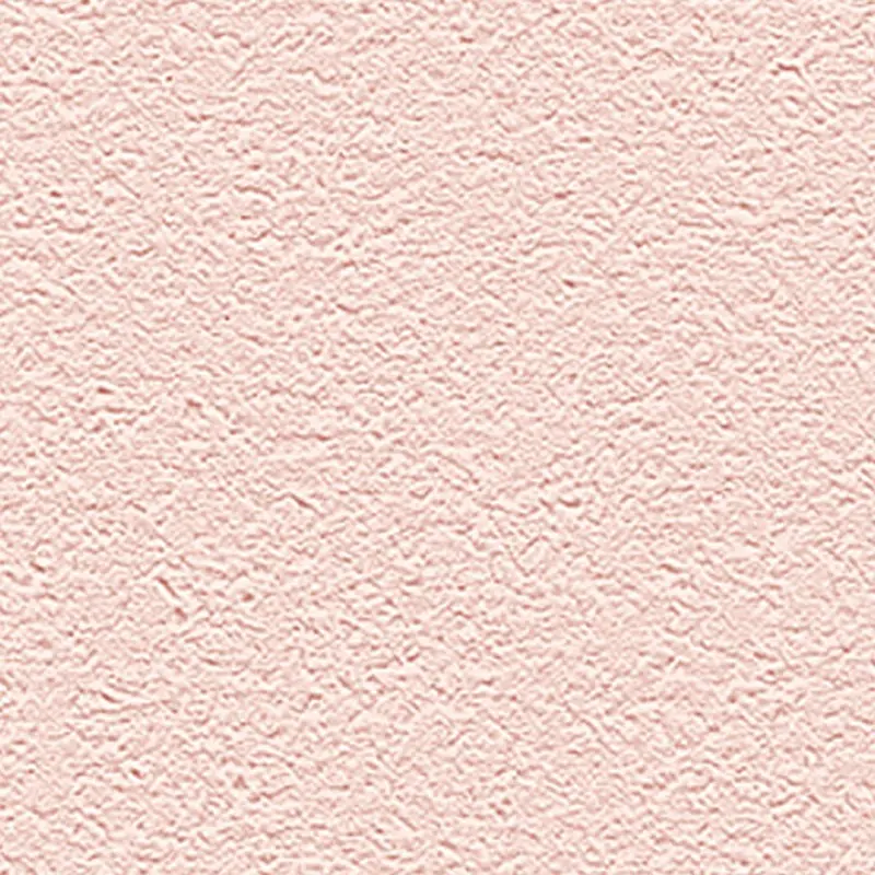 Обои R65438-10 Alessandro Allori Barbara