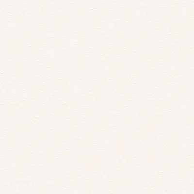 Обои W189102 Rasch Bright Whisper — фото 2