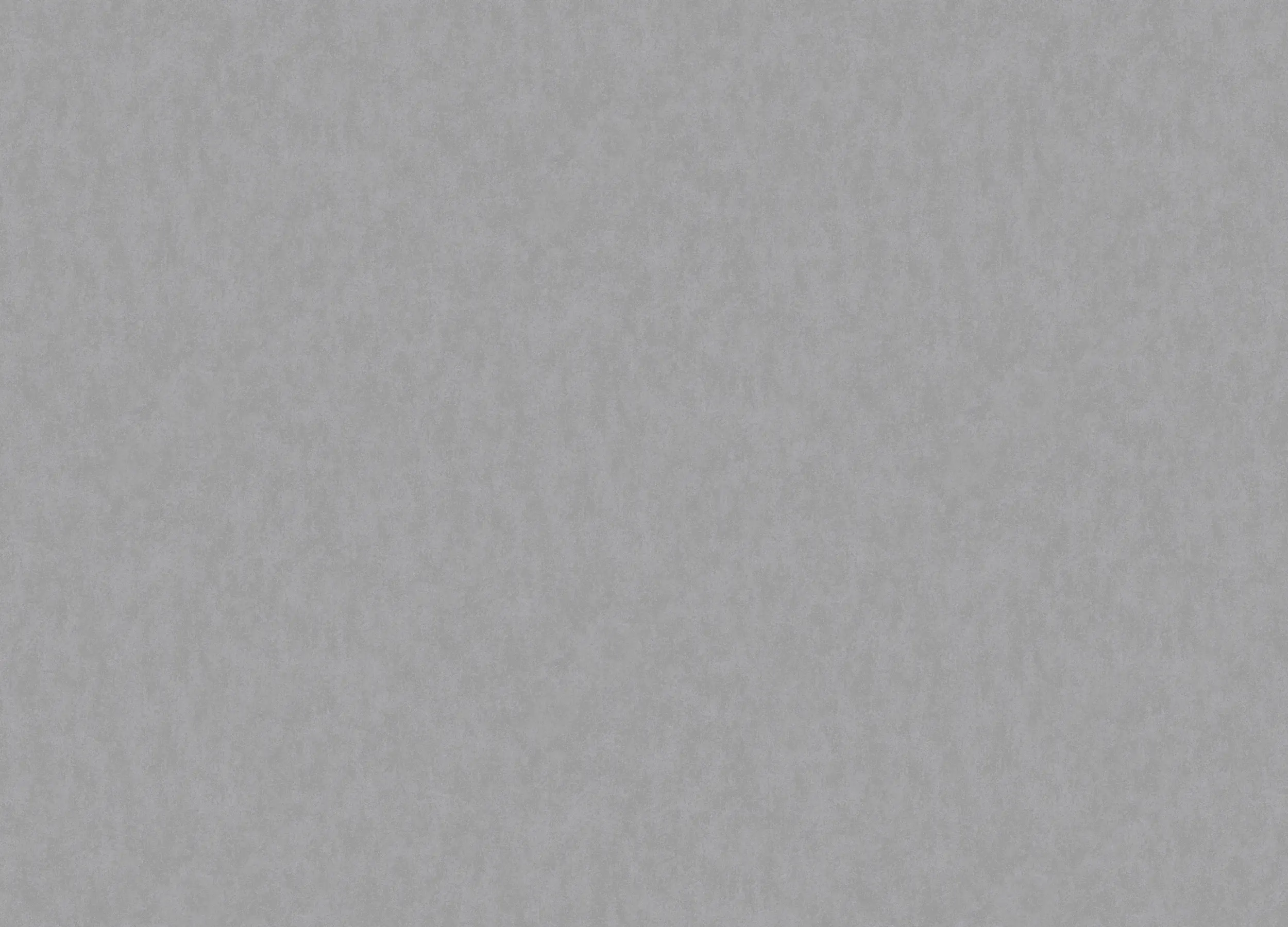Обои W190029 Rasch Bright Whisper