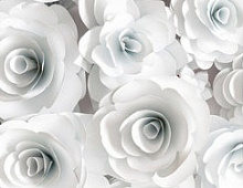 Фотообои 110312 Белые цветы OVK Design